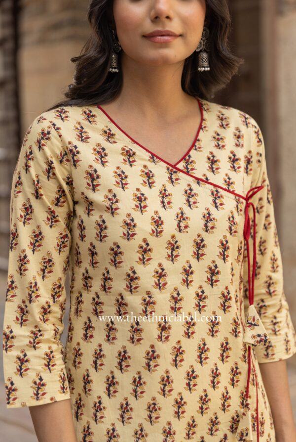 "Dhara" Bagru Hand Block Printed Cotton kurta - Image 8